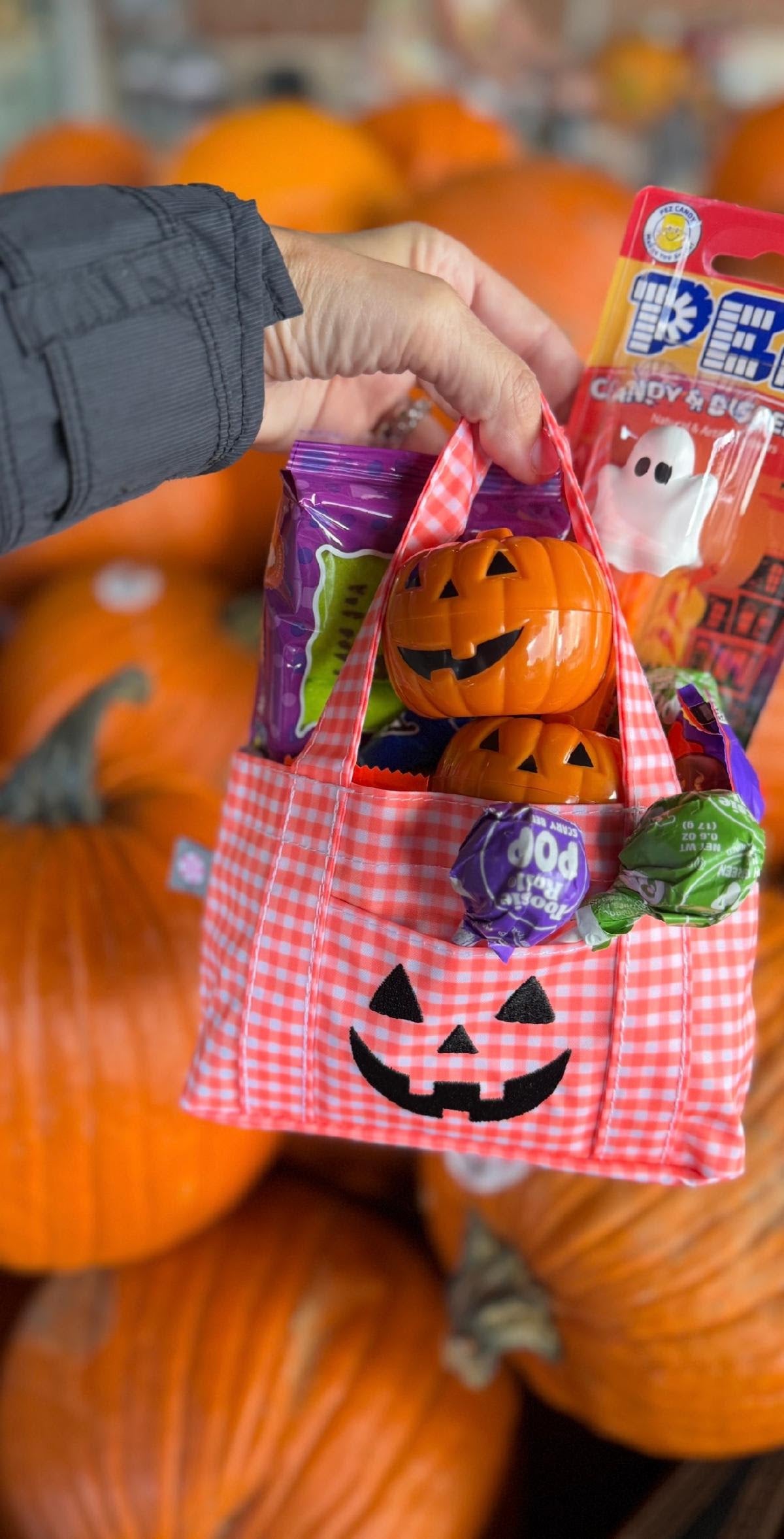 Mini Boo Bags
